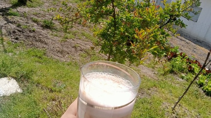 Soğuk kahve sezonunu açtınız mı?