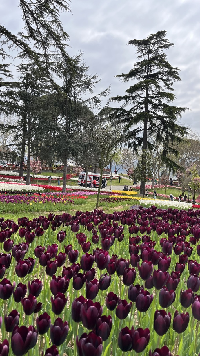 En teyze/ amca özelliğiniz nedir?