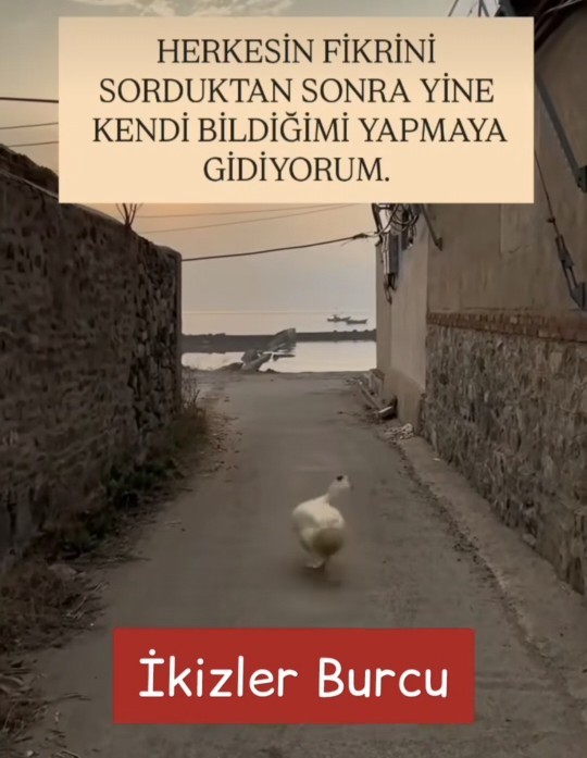 Kimlerin burcu böyle?