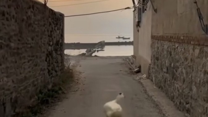 Kimlerin burcu böyle?
