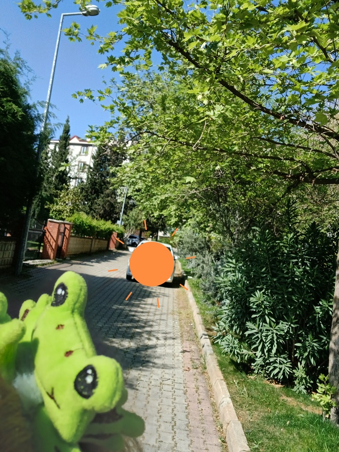 En son neyi unuttunuz?