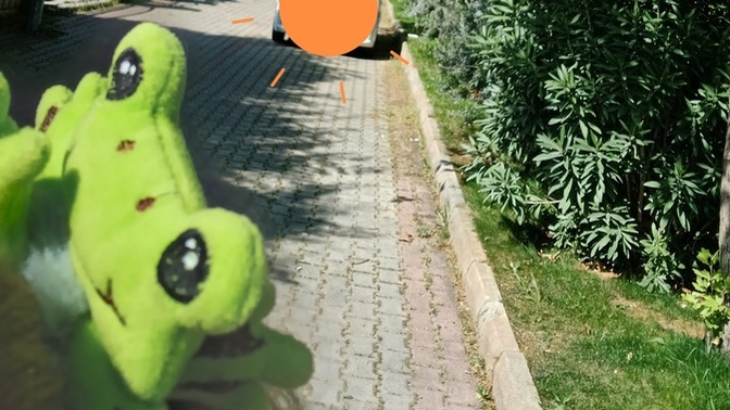 En son neyi unuttunuz?