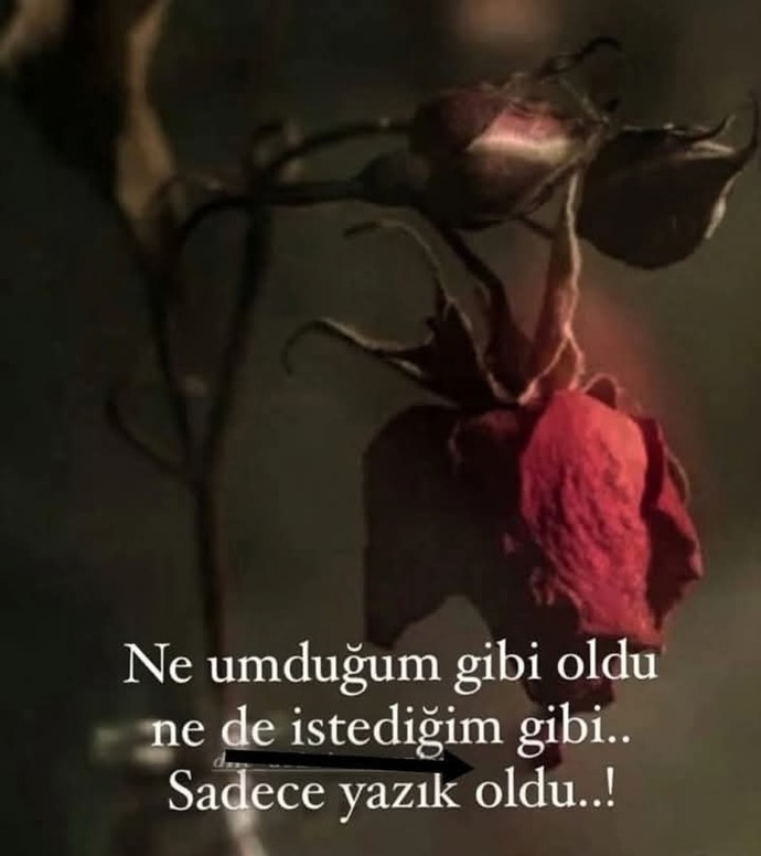 Umduğunuzu bulabildiniz mi?