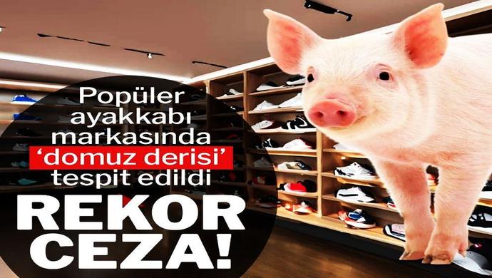 New Balanceın bazı ayakkabı modellerinde domuz derisi bulunduğu tespit edildi. Bu markayı kullanıyor musunuz?