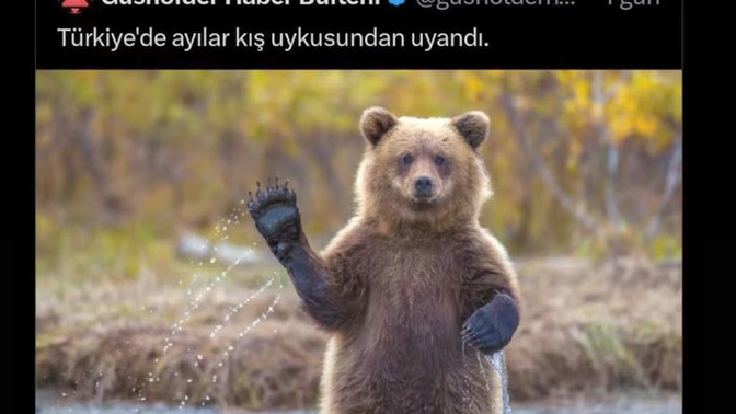 Ruh eşinize rastladınız mıı?