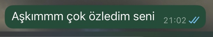 Sevgiliniz mesajınızı görüldüde bıraksa ne yaparsınız?