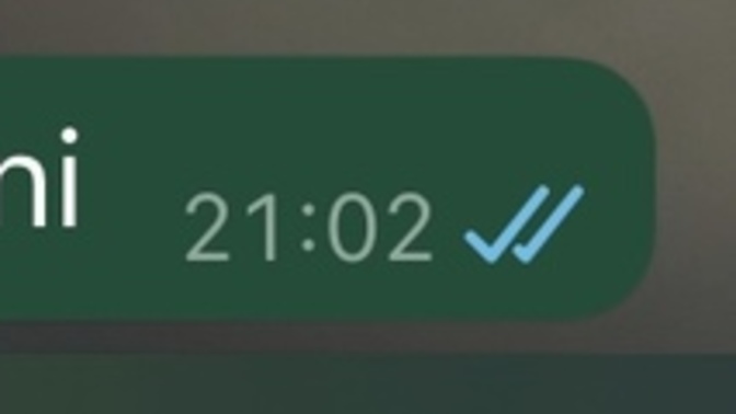 Sevgiliniz mesajınızı görüldüde bıraksa ne yaparsınız?