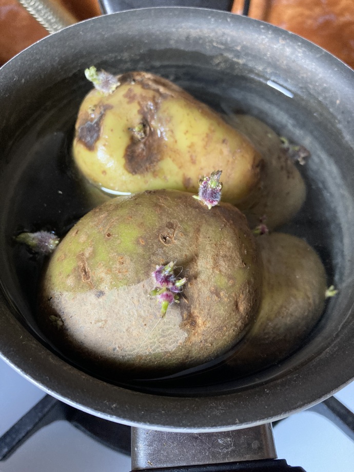 Filizlenmis patates yenr mi?