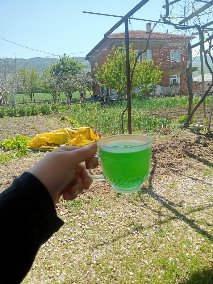 Doğada huzur buluyor musunuz yoksa sizlik değil mi?