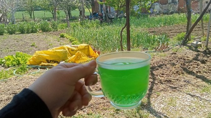 Doğada huzur buluyor musunuz yoksa sizlik değil mi?