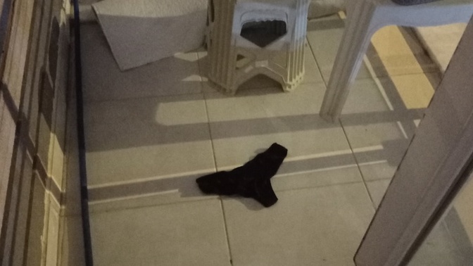Balkona siyah tanga düşmüş sizce bunu komşulara sorup kiminse vermelimiyim?
