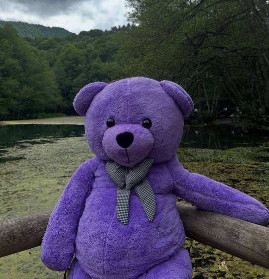 Ayılar 🐻 neden mor renk değil, isyanım da haklı mıyım?