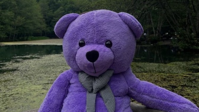 Ayılar 🐻 neden mor renk değil, isyanım da haklı mıyım?