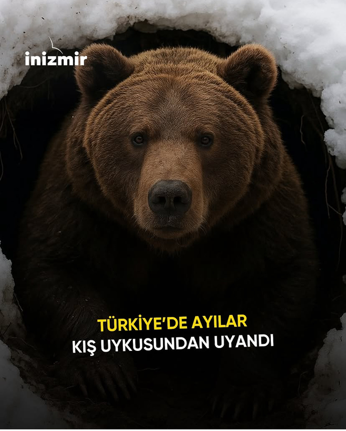 Eniştenizle tanışmam an meselesi. Herkes eşini bulmaya hazır mı?😅?