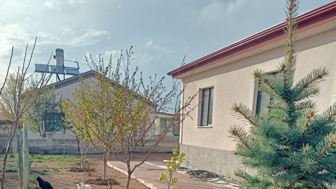 Bahçe, ev ve evlatlarim nasıl duruyorlar ☺️?