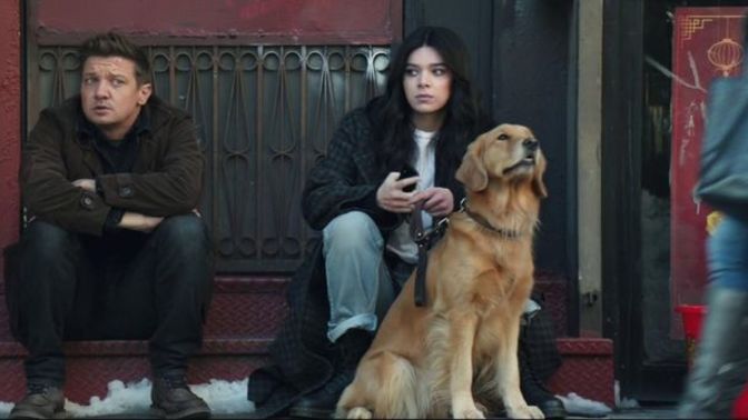 Arkadaşımın Golden köpeğine ne hediye alabilirim?