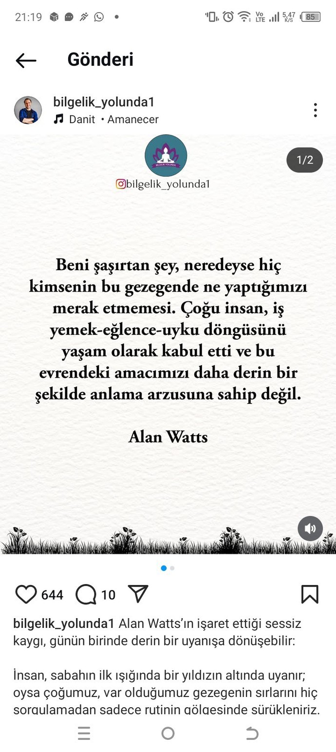 Bilgelik yolunda misin?