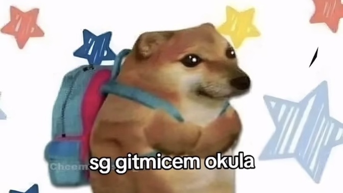Her Şeyi Boşverip Ne Yapmak İsterdiniz?