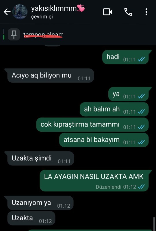 Sizin sevgilinizde otistik mi yoksa sadece benimki mi böyle?