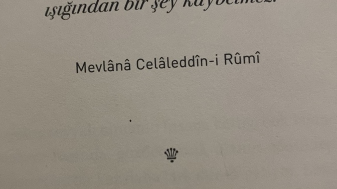 Su anda okudugunuz kitap kac sayfa?