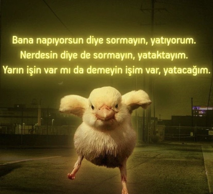 Evet bugün hedefimi başaramadım 😂 siz hedefinizi başarabiliyormusunuz?