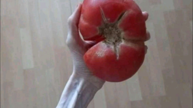 Bu domates yenir mi, bahçeden topladım demin?