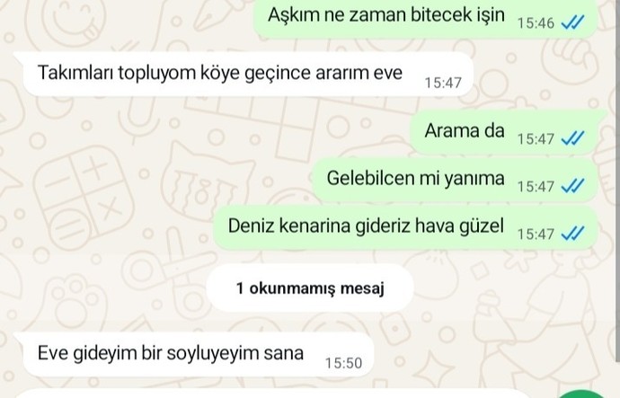 Eve gidince söylerim ne demek ya?