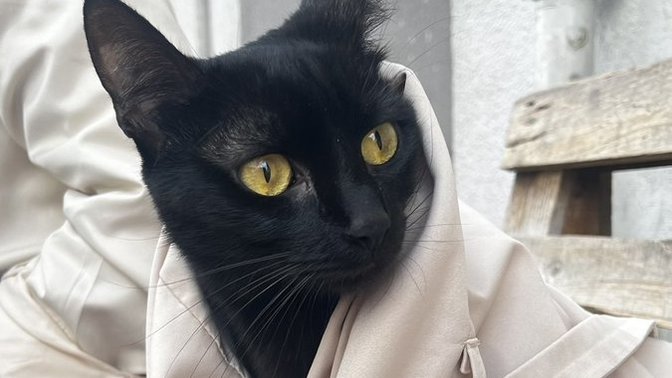 İyi geceler neler yapıyorsunuz?