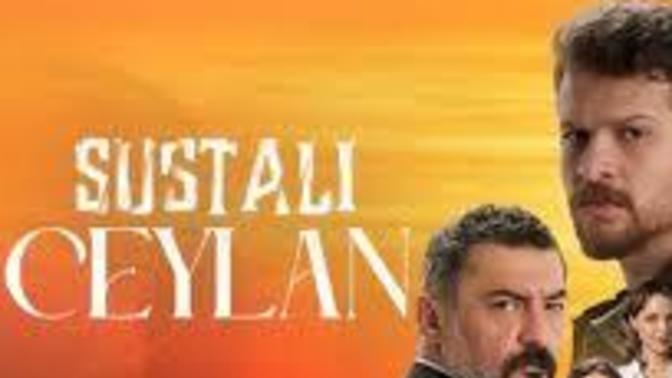 İzlediğiniz Türk dizisi var mı?