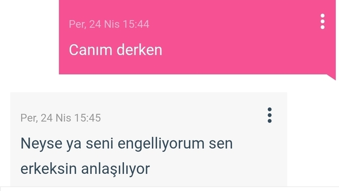 Yani daha iki dk tanıştık canım dedi tepki gösterdim diye erkek mi oldum?