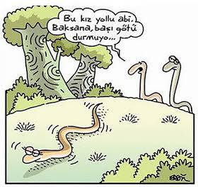 Neden hanım hanımcık kızlar varken tehlikeli kızlar hoşuma gidiyor?