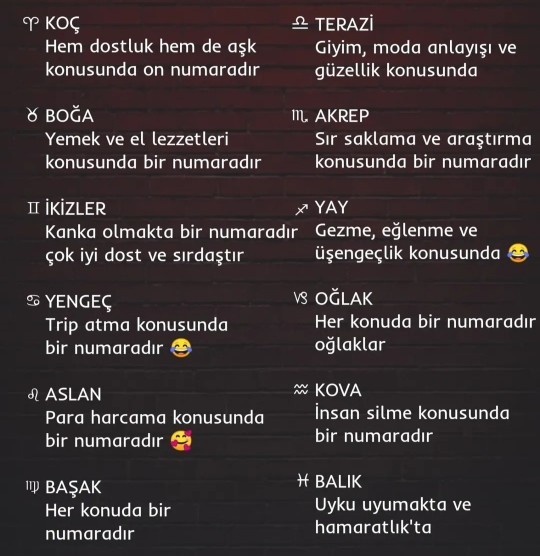 Burcunun 1 numara olduğu konu nedir?