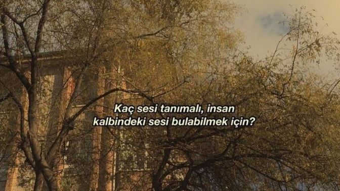Sen hangi sorunun cevabısın?