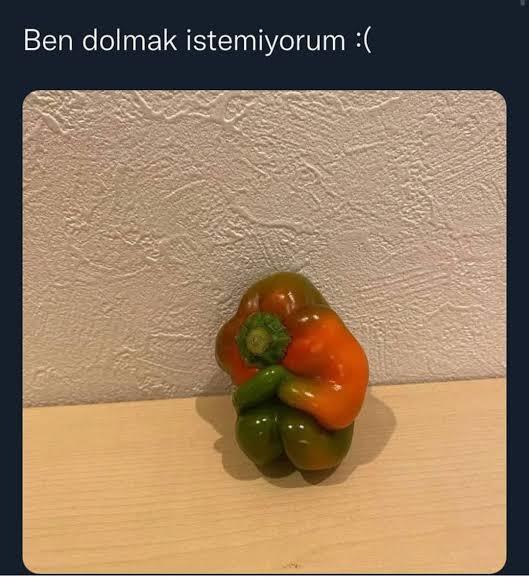 Dolma sever misiniz?