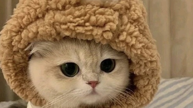 Tehlikeli biri misiniz yoksa masum mu?