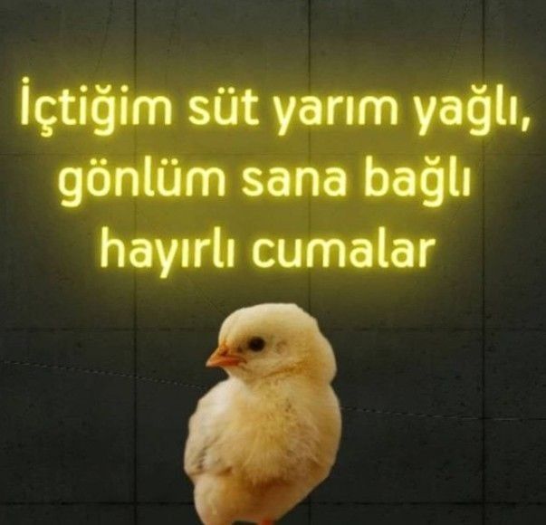 Eski sevgiliye cuma mesajı atılır mı🙄?