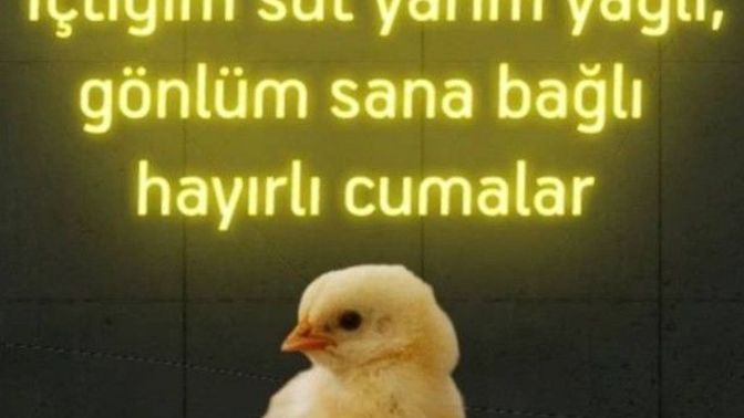 Eski sevgiliye cuma mesajı atılır mı🙄?