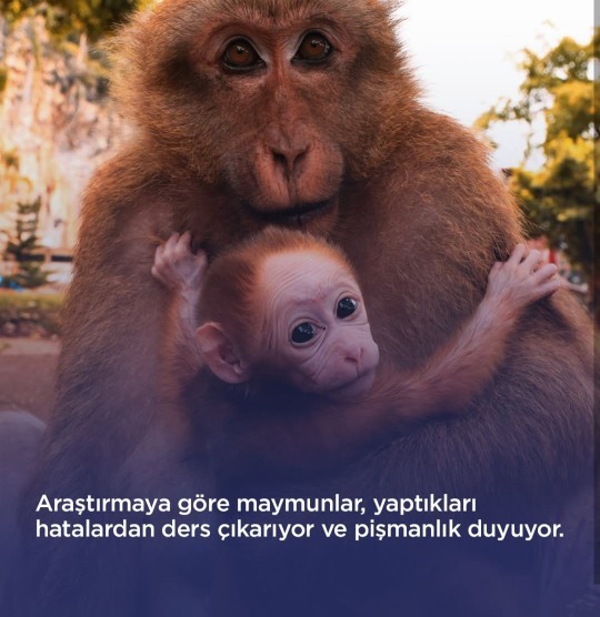 Yaptığınız hatalardan pişmanlık duyuyor musunuz?