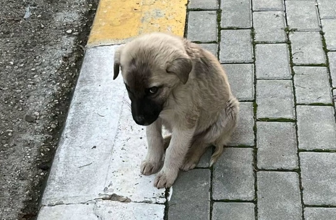 Aşırı imkansız dediğiniz ne var?