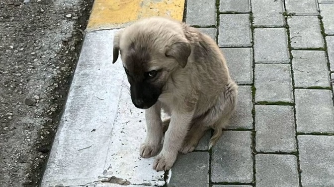 Aşırı imkansız dediğiniz ne var?