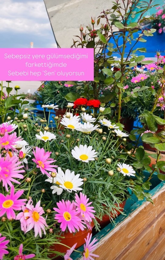 Sizin sebepsiz gülüşlerinizin sebebi var mı?