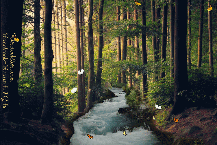 Hayatınızın tek bir fotoğrafını çekebilseydiniz, bu nasıl olurdu?
