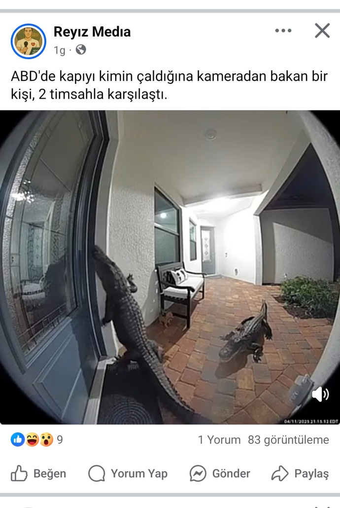 Siz Bu Olayla Karşılaşsanız Tepkiniz Ne Olurdu?