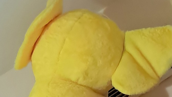 Yanında ayıcık yatıran var mı 🤔🤔?