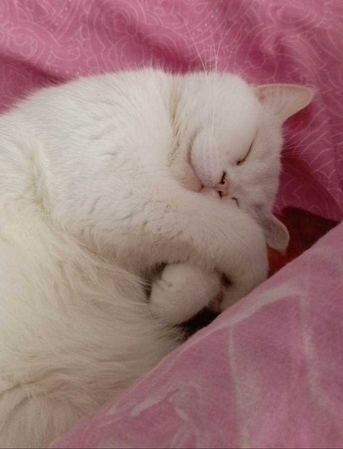 Kızlar ve bi gece veda ettiği ihtimaller nelerdir?