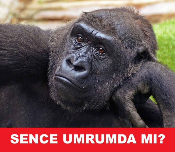 Kavga ederken Türk erkeklerimi?