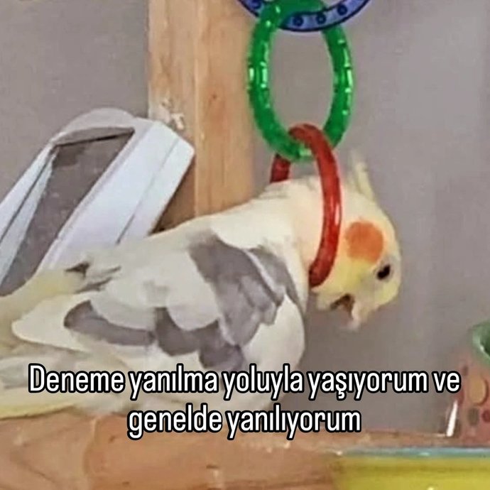 Kendimi mi öldürsem yoksa bir fincan kahve mi içsem?