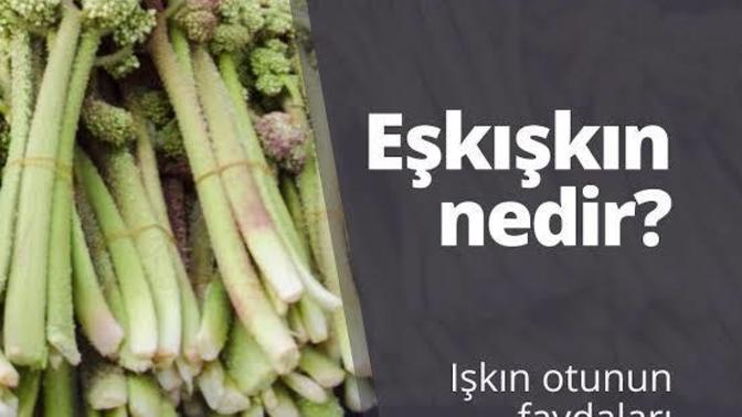 Eşkışkın (ışkın otu veya dağ muzu) yiyen var mı?