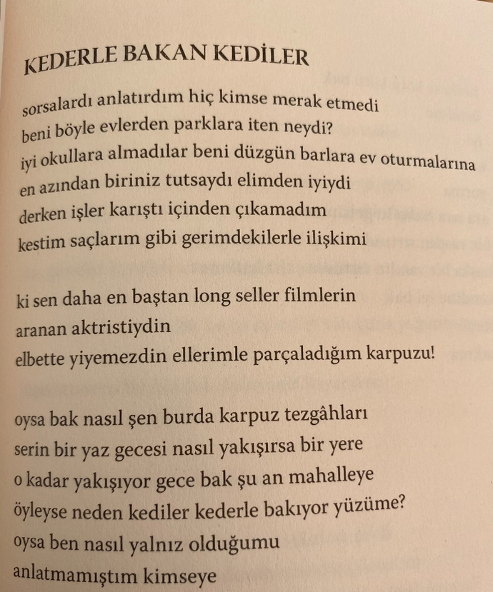 Hangi hayvanın gözlerine baktığında kendini görüyosun?