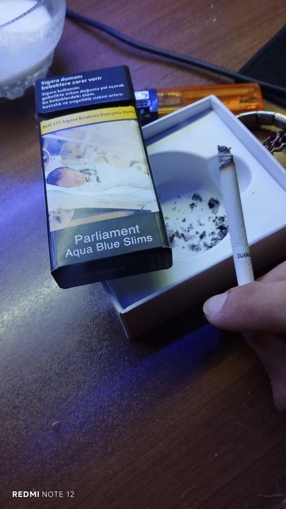 Sigara icenleri anlamıyorum ne zevki var bunun?